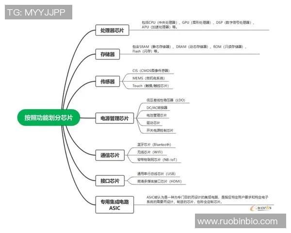 成都足球队的运营体系与战术创新探讨及其对足球发展的影响